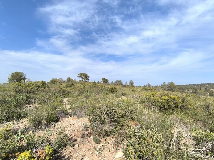 Image No.7-Land for sale