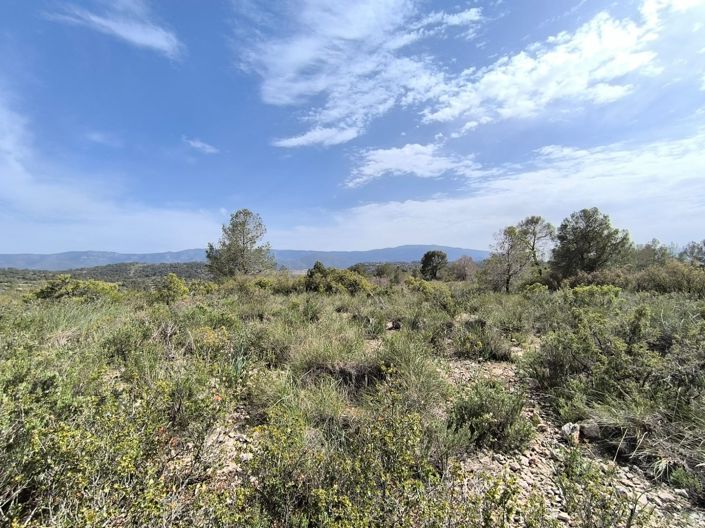 Image No.8-Land for sale