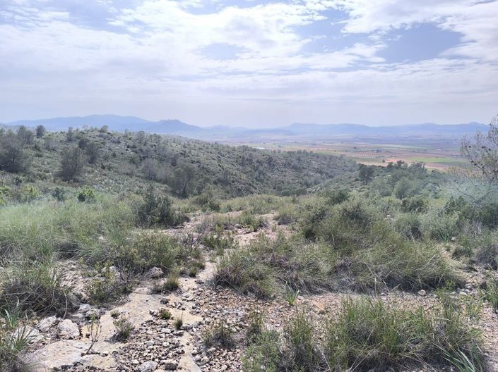 Image No.9-Land for sale