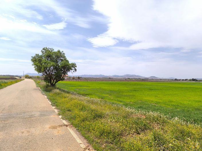 Image No.37-10 Bed Country House for sale