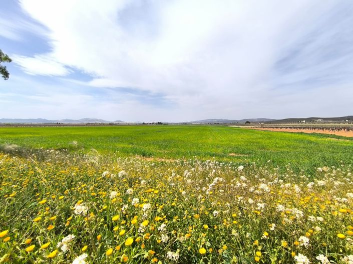 Image No.38-10 Bed Country House for sale