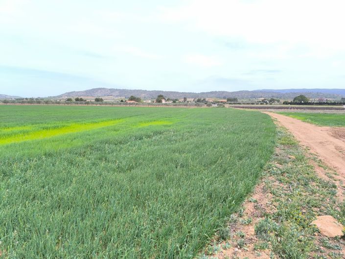 Image No.39-10 Bed Country House for sale