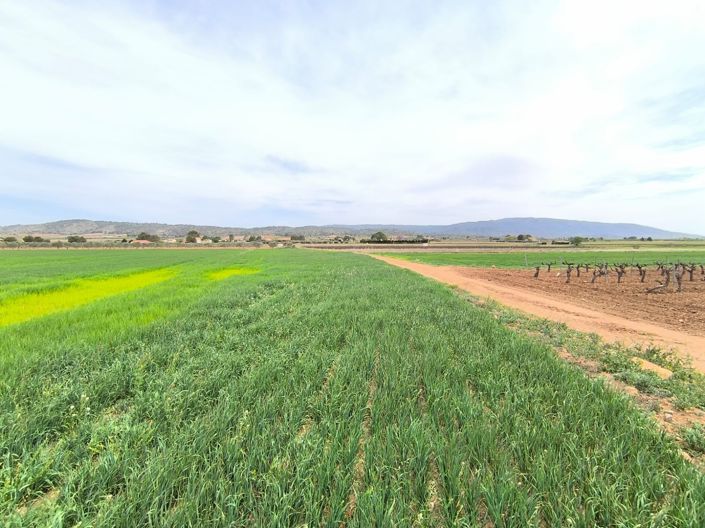 Image No.40-10 Bed Country House for sale