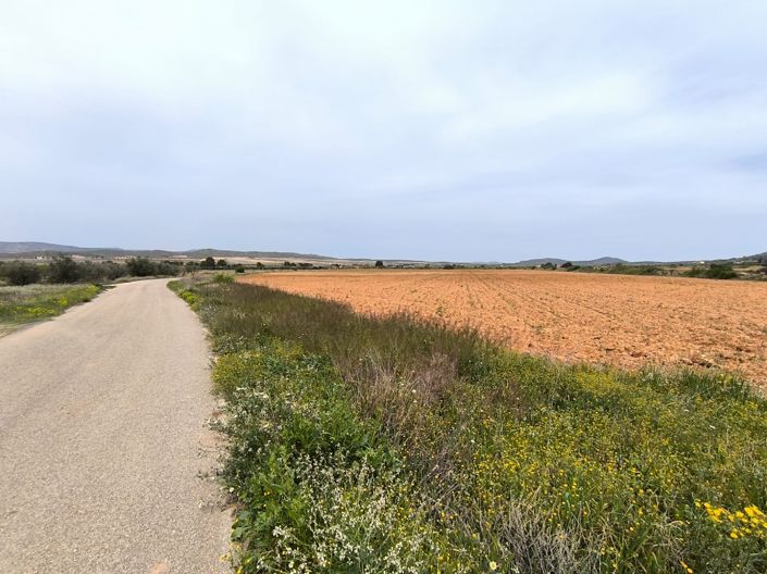 Image No.41-10 Bed Country House for sale