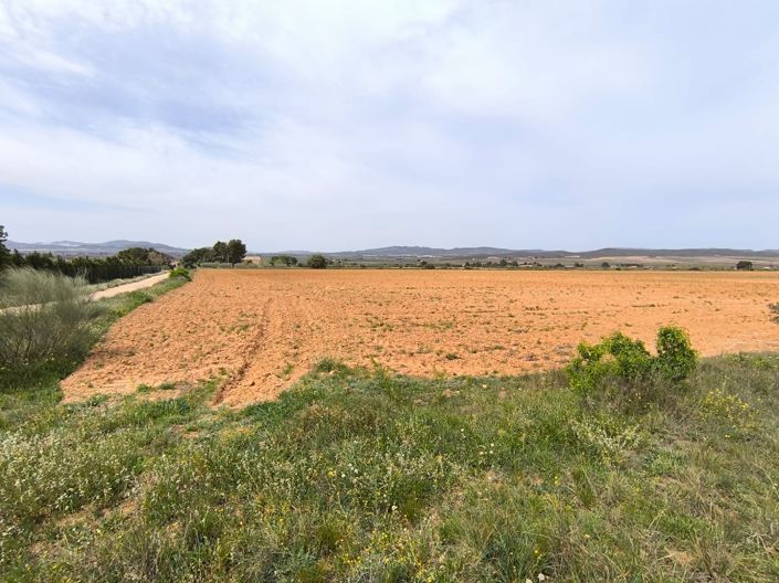 Image No.42-10 Bed Country House for sale