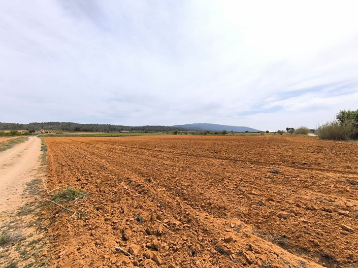 Image No.43-10 Bed Country House for sale