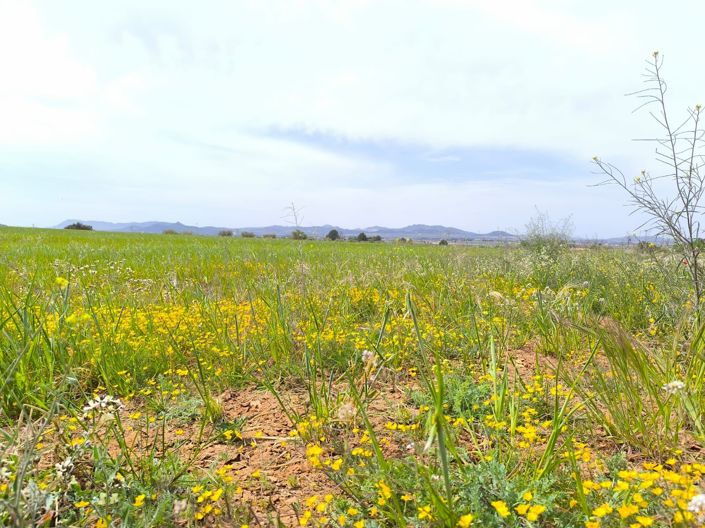 Image No.45-10 Bed Country House for sale