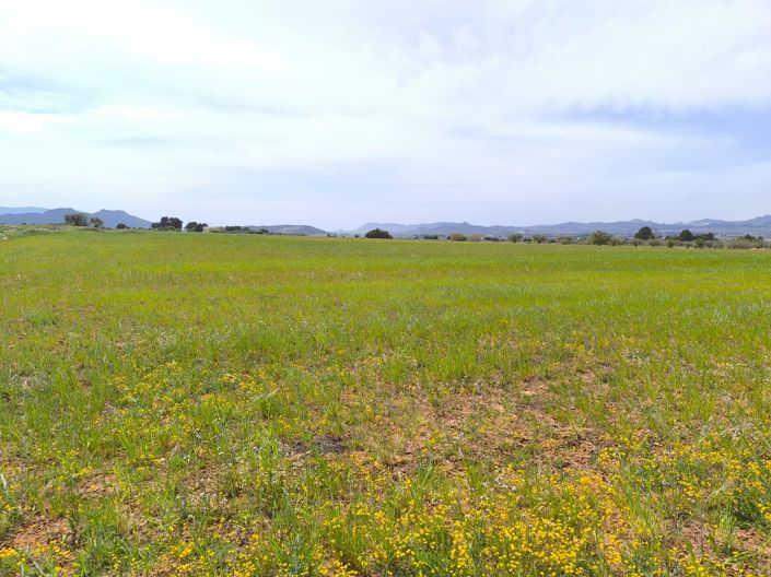 Image No.46-10 Bed Country House for sale