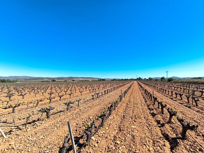 Image No.2-Land for sale