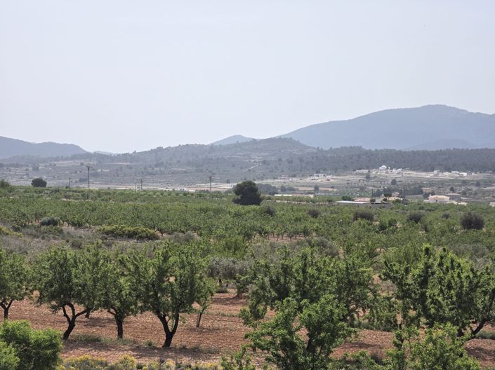 Image No.35-3 Bed Villa for sale