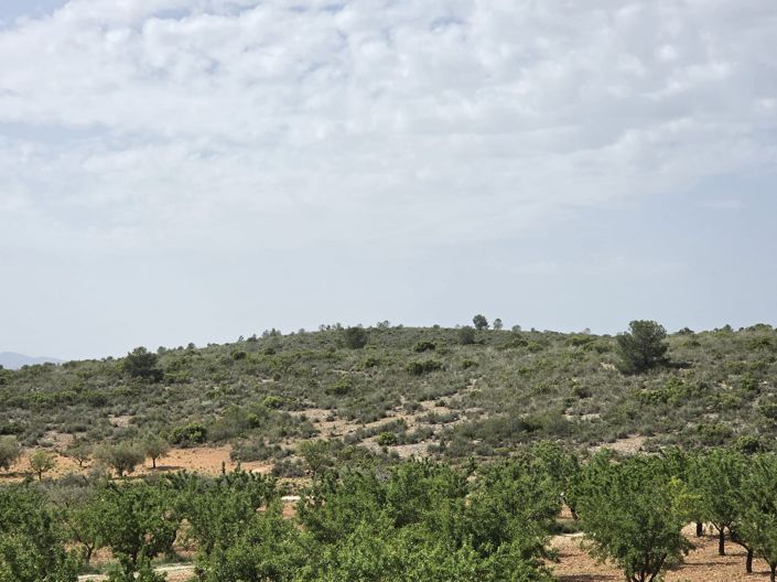 Image No.38-3 Bed Villa for sale