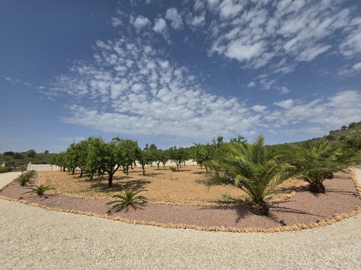 Image No.39-3 Bed Villa for sale