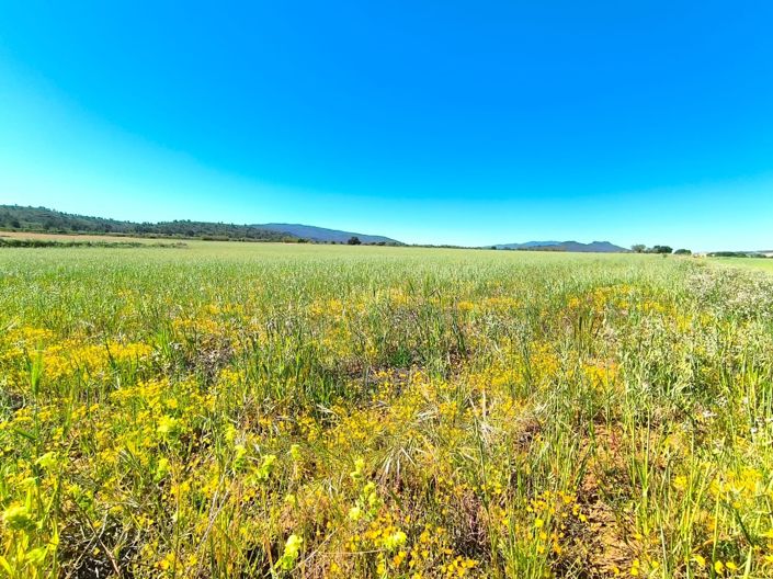 Image No.4-Land for sale