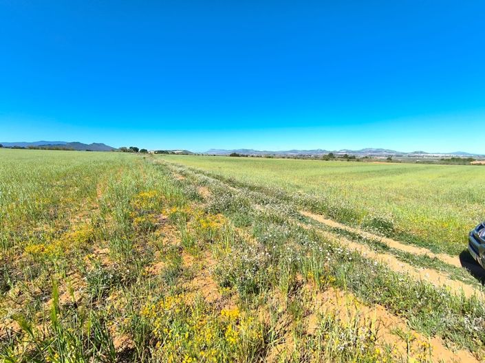 Image No.5-Land for sale