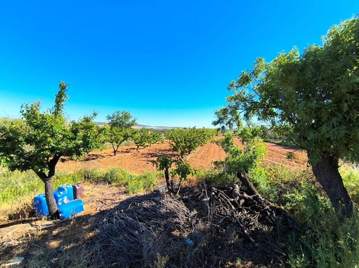 Image No.19-7 Bed Country House for sale