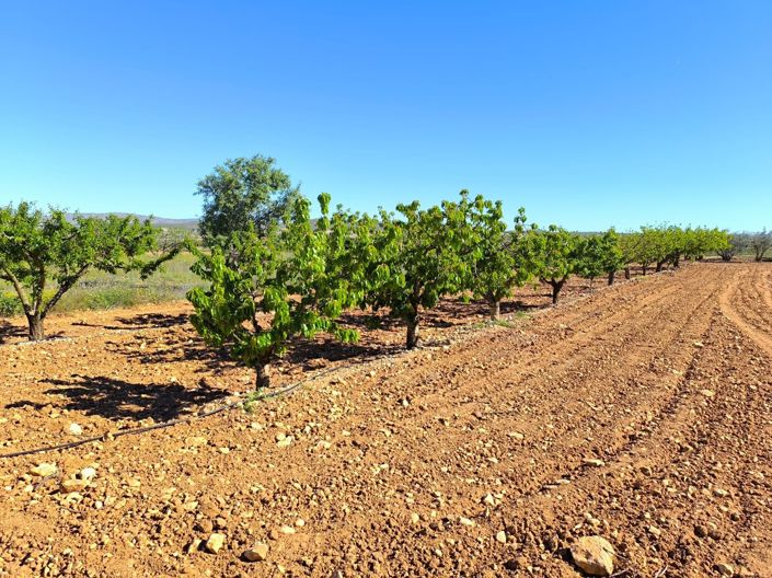 Image No.20-7 Bed Country House for sale