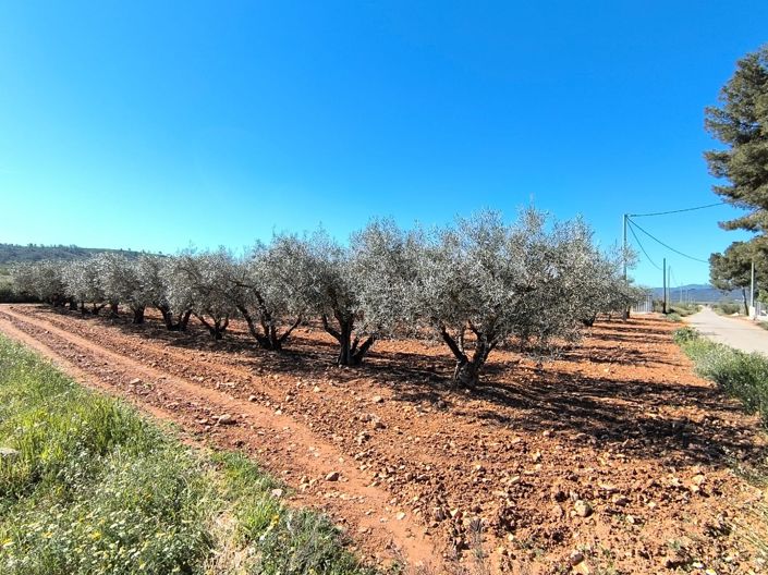 Image No.21-7 Bed Country House for sale