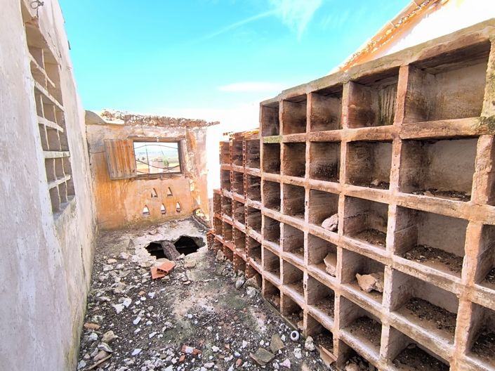 Image No.22-7 Bed Country House for sale