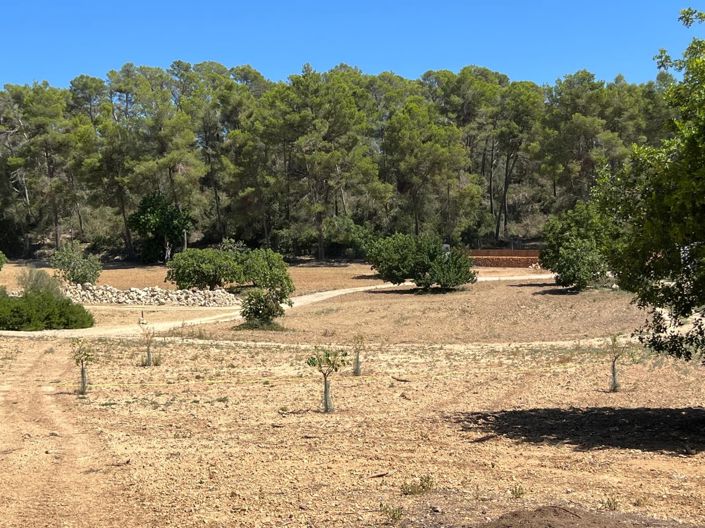 Image No.12-Land for sale