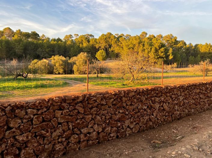 Image No.2-Land for sale