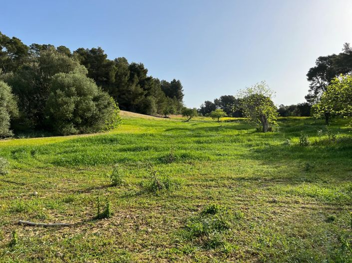 Image No.3-Land for sale