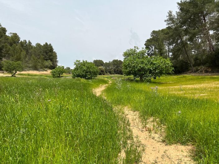 Image No.31-Land for sale