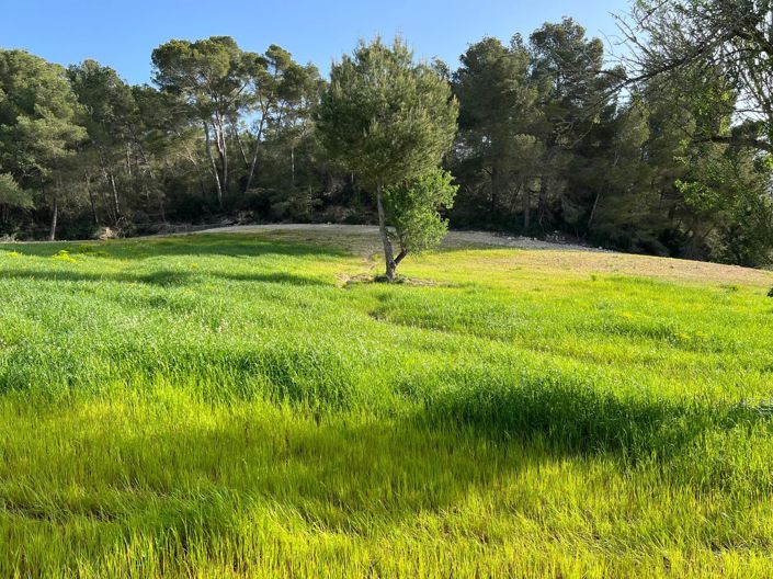 Image No.4-Land for sale