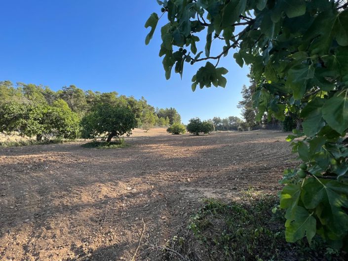 Image No.5-Land for sale