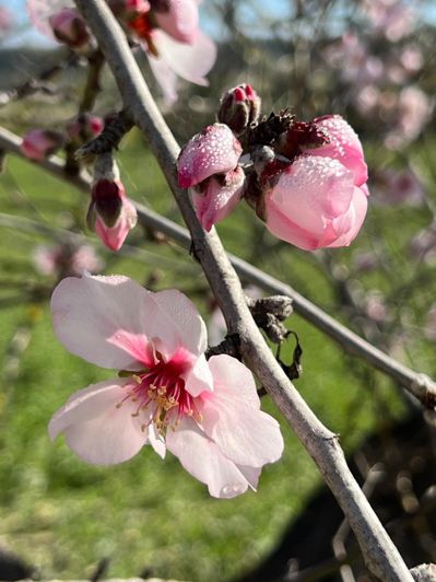 Image No.6-Land for sale