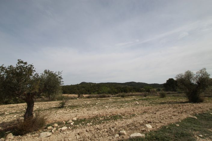 Image No.16-1 Bed Country House for sale