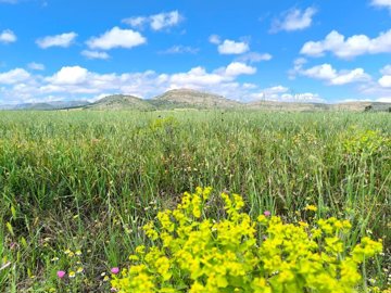 o1jo4g164t7qu10ob1qvc1dgl11aa1i