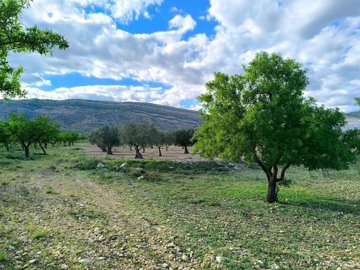 1 - Caudete, Terre