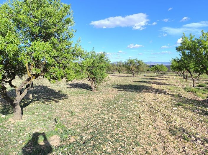 Image No.2-Land for sale