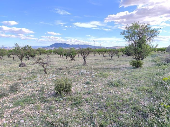 Image No.3-Land for sale