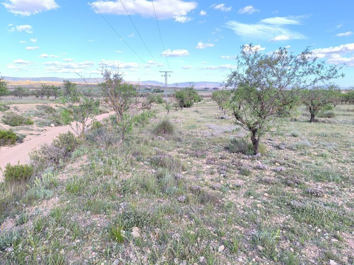 Image No.4-Land for sale