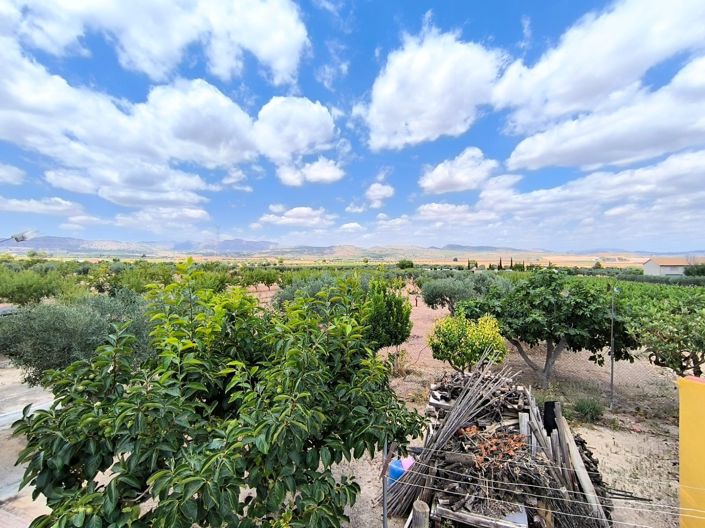 Image No.7-4 Bed Country House for sale