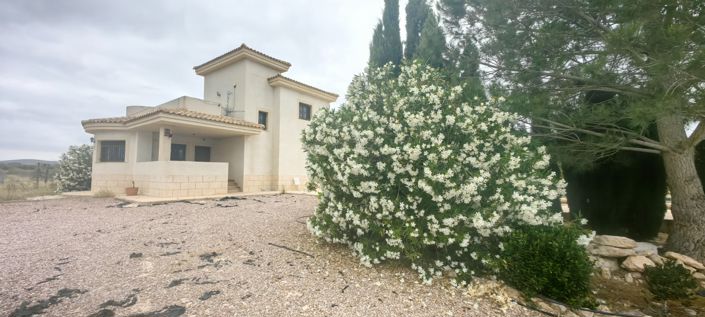Image No.23-Villa de 3 chambres à vendre à Pinoso