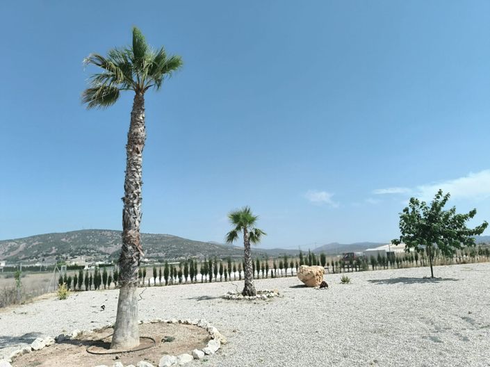 Image No.45-3 Bed Villa for sale