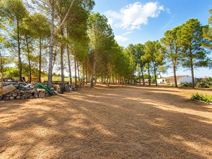Image No.39-7 Bed Villa for sale