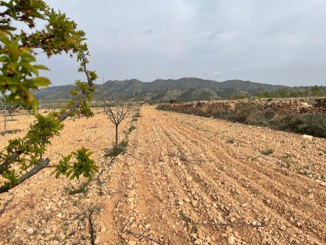 Image No.11-Land for sale