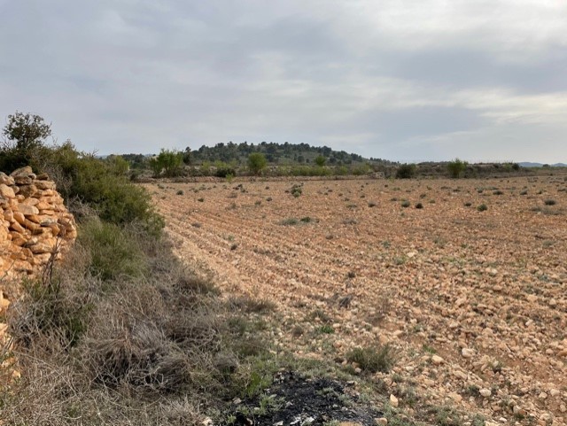 Image No.16-Land for sale