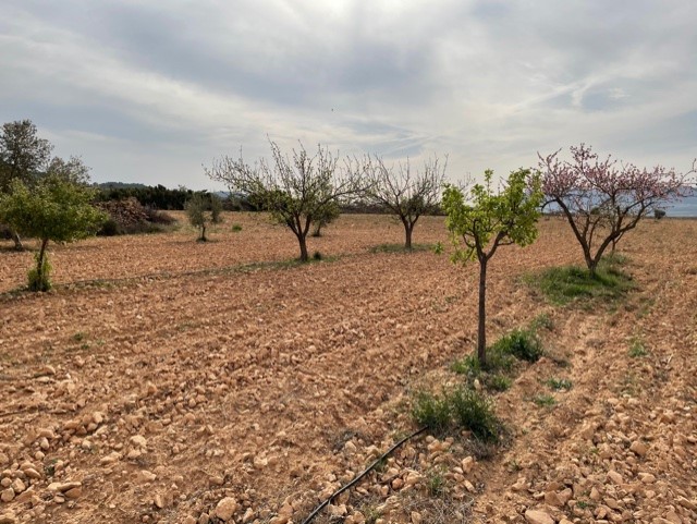 Image No.17-Land for sale