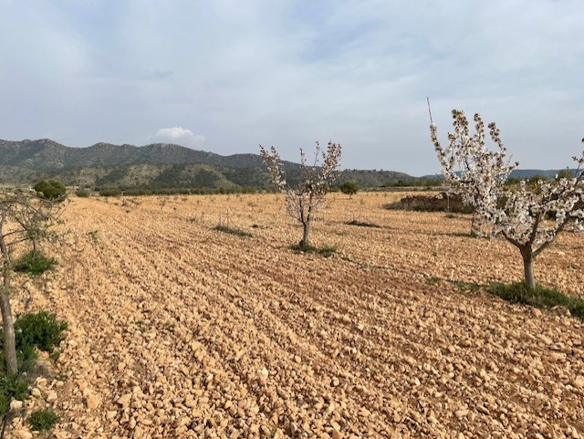 Image No.18-Land for sale