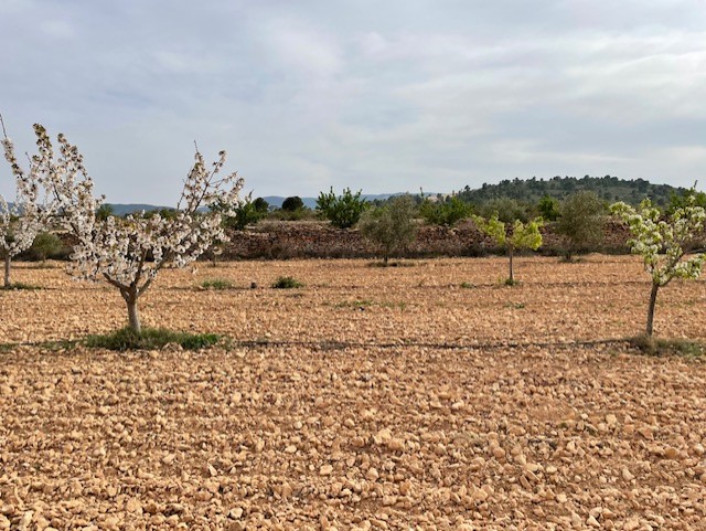 Image No.19-Land for sale