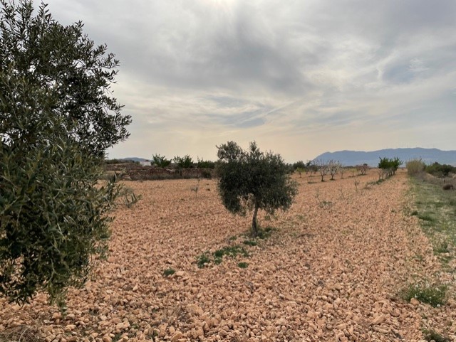 Image No.21-Land for sale