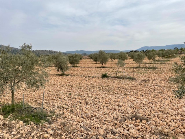 Image No.4-Land for sale
