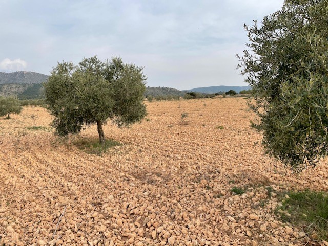 Image No.6-Land for sale