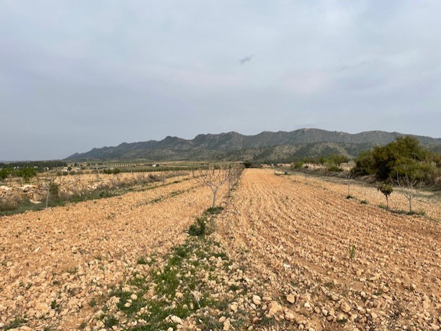 Image No.7-Land for sale