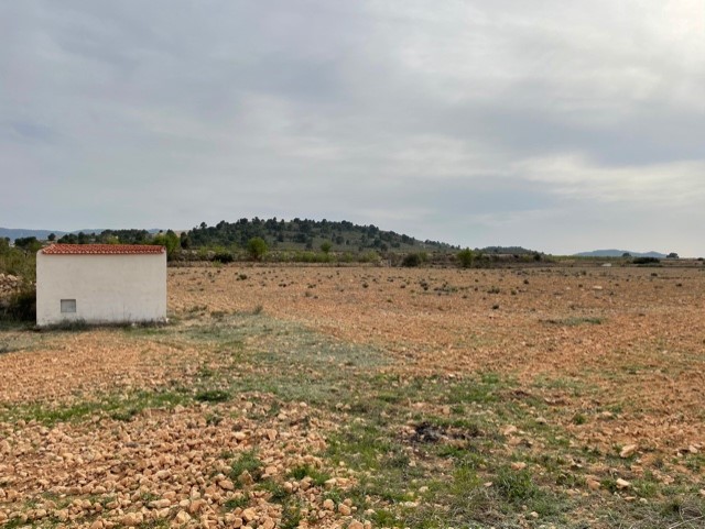 Image No.8-Land for sale