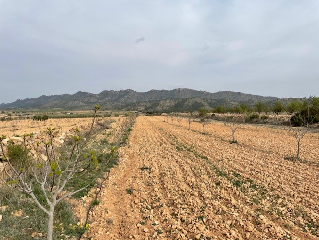 Image No.9-Land for sale